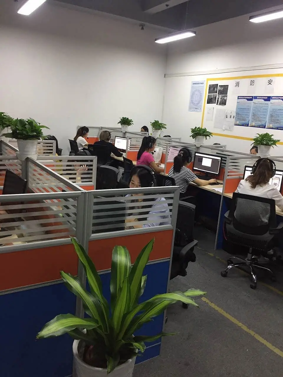 Customer service staff at their desks