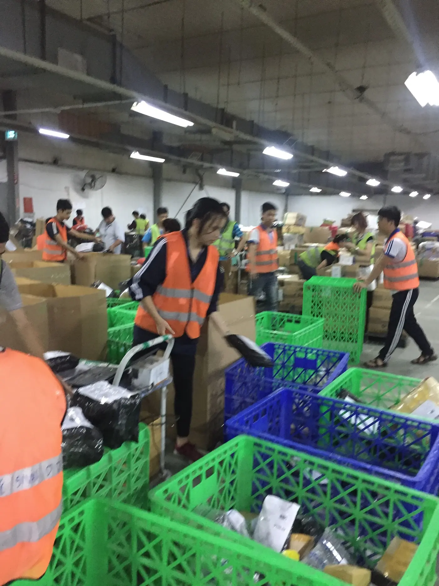 Warehouse staff in orange vests sort parcels into crates